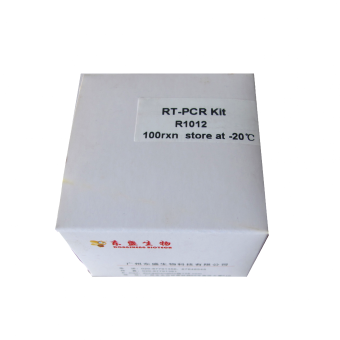 M-Mlv Reverse Transcriptase Rt-PCR
