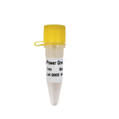 2X Power Green Real Time PCR Mix 1 ml QPCR Mix Bezbarwny