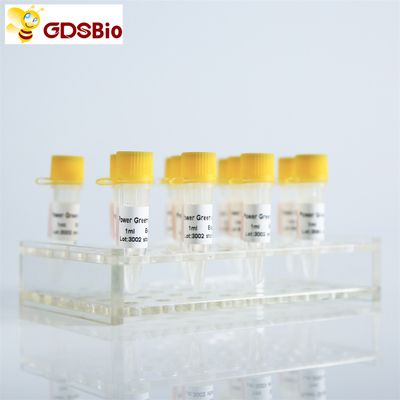 Sonda GDSBio HS QPCR Real Time PCR Mix P2201 P2202