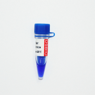 Marker drabinkowy DNA 10 bp M1011 (50 μg)/M1012 (50 μg × 5)