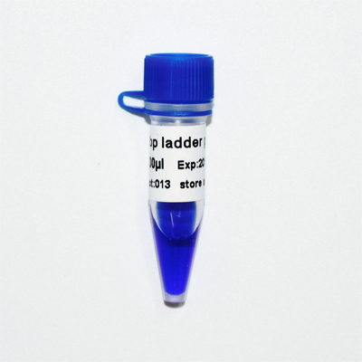 50 bp Ladder Plus DNA Marker M1051 (50 μg)/M1052 (50 μg × 5)