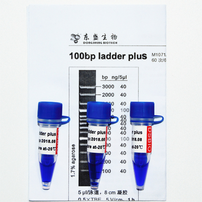 100 bp Ladder Plus DNA Marker M1071 (50 μg)/M1072 (50 μg × 5)