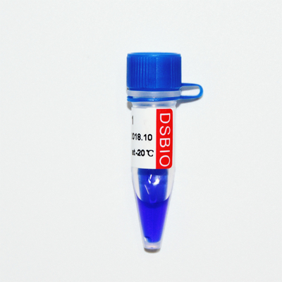 Marker 1 Drabina DNA M1081 (50 μg)/M1082 (50 μg × 5)
