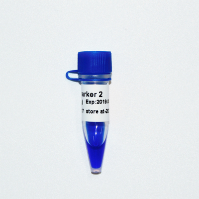 Marker 2 Drabina DNA M1091 ​​(50 μg)/M1092 (50 μg × 5)