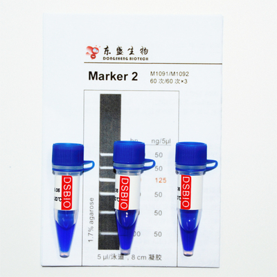 Marker 2 Drabina DNA M1091 ​​(50 μg)/M1092 (50 μg × 5)