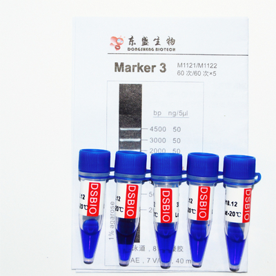 Marker 3 Drabina DNA M1121 (50μg)/M1122 (5×50μg)