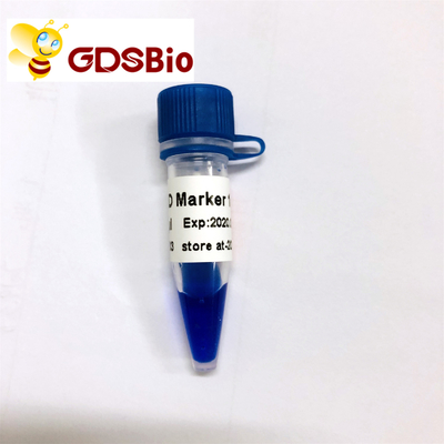 Blue Appearance LD Marker 1 DNA Marker Elektroforeza