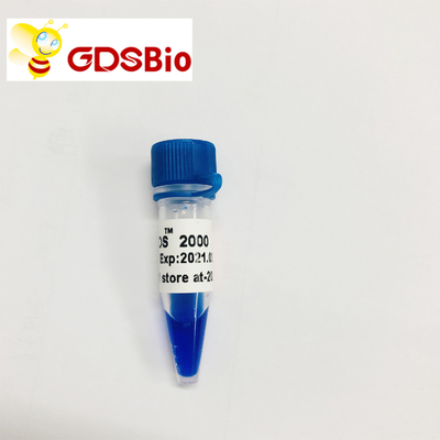 Odczynniki o wysokiej czystości LD DS 2000 DNA Marker Gel Electrophoresis 60 Preps