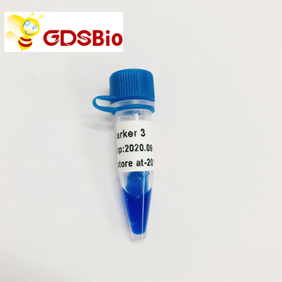LD Marker 3 Drabinkowa elektroforeza DNA 60 przygotowuje odczynniki o wysokiej czystości