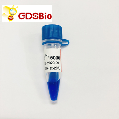 LD DS 15000bp 15kb DNA Marker Ladder LM1161 (50 preparatów)/LM1162 (50 preparatów × 5)