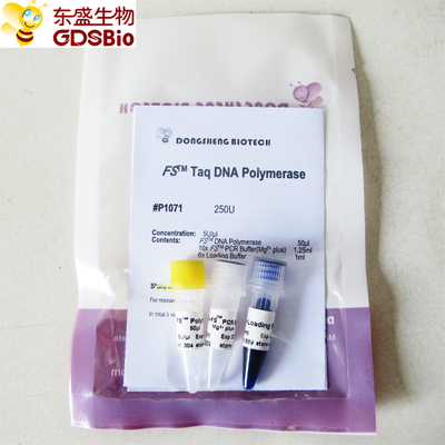 PCR QPCR FS Taq Polimeraza DNA P1071 P1072 P1073 P1074