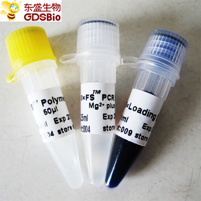PCR QPCR FS Taq Polimeraza DNA P1071 P1072 P1073 P1074
