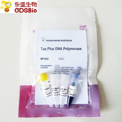 Polimeraza DNA Blue Buffer Taq Plus do PCR P1031 P1032 P1033 P1034