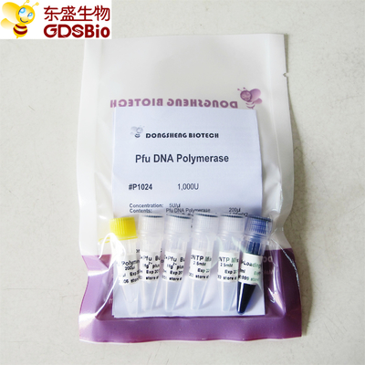 Polimeraza DNA Pfu do PCR P1021 P1022 P1023 P1024