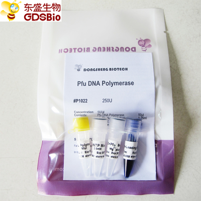 Polimeraza DNA Pfu do PCR P1021 P1022 P1023 P1024