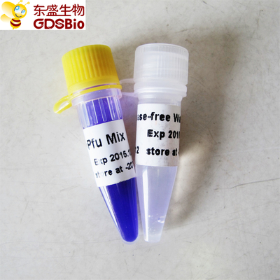 Hotstart Pfu Mix PCR Master Mix P2051 1m P2052 Niebieski bufor