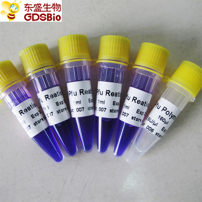 Wykrywanie kwasu nukleinowego PCR Pfu Master Mix P3022 1ml×5