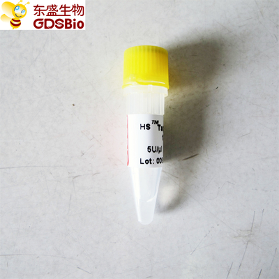 HS Hotstart Taq DNA Polimeraza PCR Odczynnik o wysokiej swoistości P1081 P1082 P1083 P1084