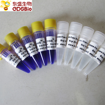 HS Mix PCR Master Mix #P2082 5 ml