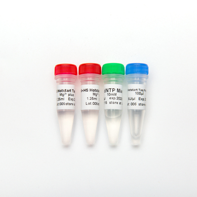 HS Hotstart Taq DNA Polymerase PCR Master Mix P1091 500U Wysoka specyficzność