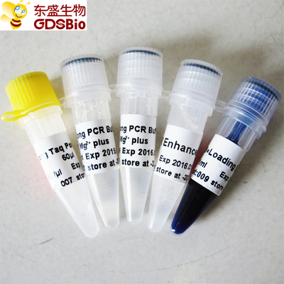 Polimeraza DNA Long Taq P1061 250U