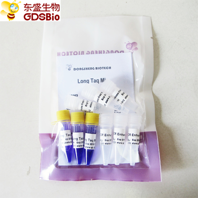Long Taq 3 ml PCR Master Mix Niebieski bufor Master Mix do PCR