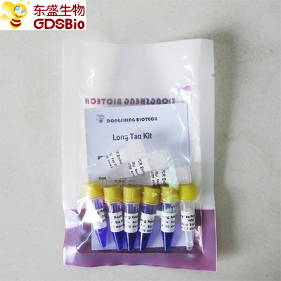 Zestaw Long Taq PCR Master Mix #P3062 5 ml