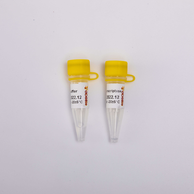Gold Rt PCR Odwrotna transkryptaza R3001 2000U R3002 10000U