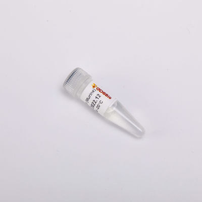 Bezbarwny Wygląd Inhibitor RNazy Mysi R4001 20000U
