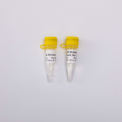 40/400/2000 Reakcje 2X NGS Multi Plex PCR NM1001 NM1002 NM1003