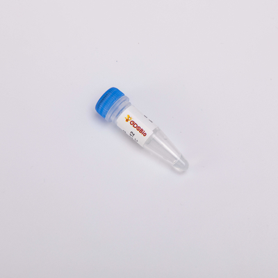 dUTP #P9071 1 ml PCR qPCR