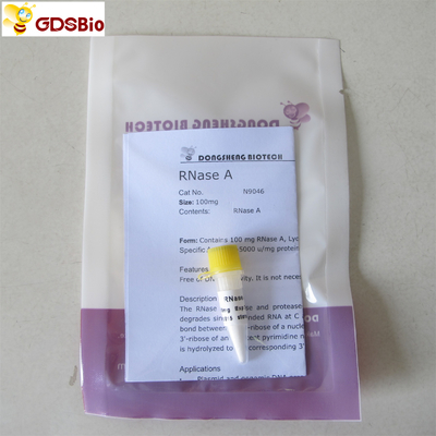 N9046 100 mg Produkty do diagnostyki in vitro Proszek RNazy A