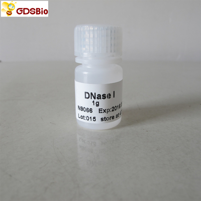 Proszek DNazy I N9066 1g Produkty do diagnostyki in vitro