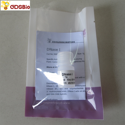 Proszek DNazy I N9066 1g Produkty do diagnostyki in vitro