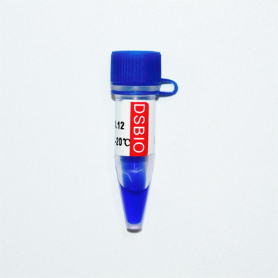 GDSBio Marker 3 DNA Marker Żel do elektroforezy Niebieski wygląd