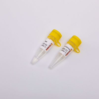 10000U złota odwrotna transkryptaza PCR R3002 Bezbarwny wygląd
