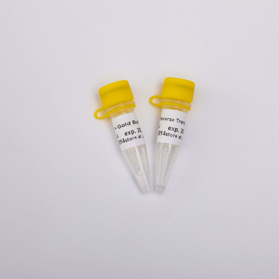 10000U złota odwrotna transkryptaza PCR R3002 Bezbarwny wygląd