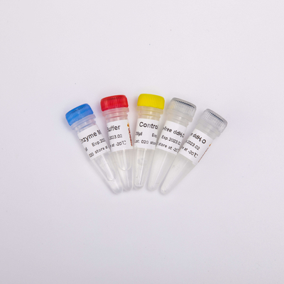 R1031 GDSBio RT PCR Mix do wstępnie zmieszanych odczynników PCR z odwrotną transkryptazą QPCR