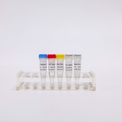 Odczynniki do PCR z odwrotną transkryptazą GDSBio