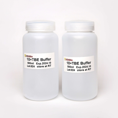 10X TBE Tris-Boran-EDTA Bufor do elektroforezy DNA 500 ml