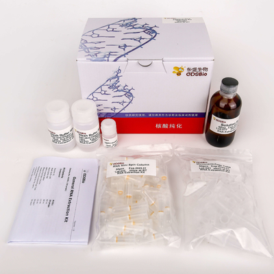 Ogólny zestaw do ekstrakcji RNA R1051 50 preparatów