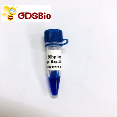 50bp DNA Gel Electroforesis Marker Ladder GDSBio