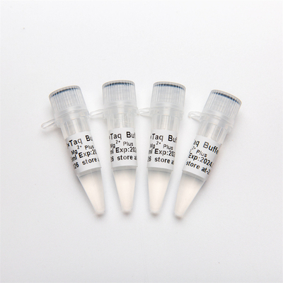 10× bufor do PCR z Mg2+ MgCl2 P5011 1,25ml×4