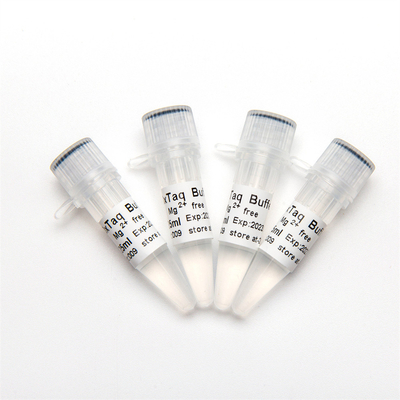 Bezbarwny 10× Bufor PCR Mg2+ Wolny P5011a 1,25 ml×4