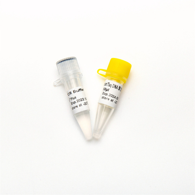 QPCR Hotstart Taq Polimeraza DNA RT-PCR Enzym P1101