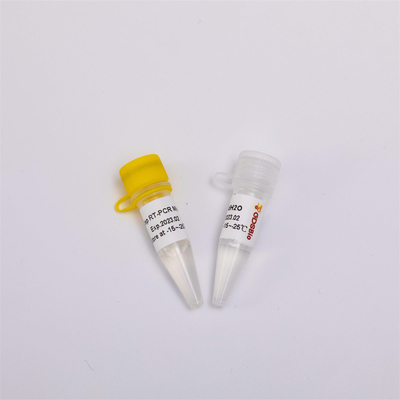 Zestaw do odwrotnej transkrypcji RNA i PCR do punktu końcowego One Step RT PCR Mix RP1001