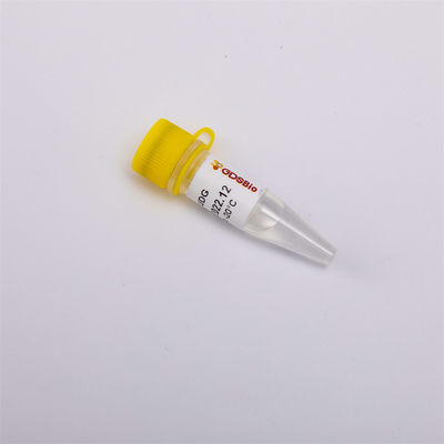 Heat Labile Anti Contamination UDG Enzym Biologia molekularna dla QPCR R5001 1 U / μL