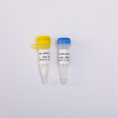Heat Labile Anti Contamination UDG Enzym Biologia molekularna dla QPCR R5001 1 U / μL