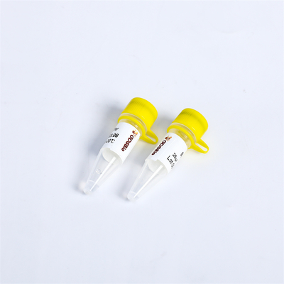P1113 PCR Master Mix Bst DNA Polimeraza Egzonukleaza Minus 8000 U/mL