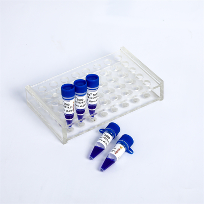 GDSBio Żel do wstępnego barwienia LD DS 5000 DNA Marker Elektroforeza Niebieski LM1111 LM1112